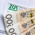 "Polski Ład powinien zostać wycofany". Apel pracowników ZUS