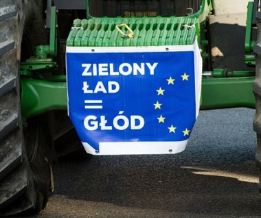 Polski minister bez ogródek o Zielonym Ładzie. "Nieracjonalne, kosztowne wymogi"