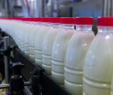Polski nabiał coraz mniej konkurencyjny. Mleko z Włoch i Francji wypiera nas z rynku