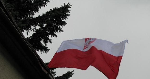 Polski nie czeka recesja, ale spowolnienie /INTERIA.PL