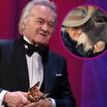 Polski osioł Kuba z filmu "IO" Skolimowskiego dostanie Oscara? Skąd pochodzi urocze zwierzę?