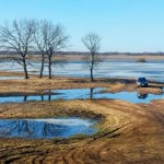 koszenie Polski park narodowy sięga po nietypowy ruch. Ogłasza zawody w koszeniu