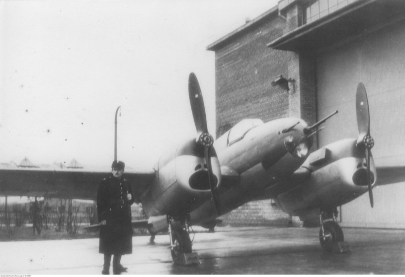 Polski przedwojenny samolot PZL.38 Wilk uznawany był za maszynę przepiękną /Wikimedia /Wikimedia