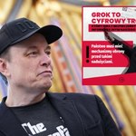 Polski rząd wnosi skargę na Groka. "Elon Musk musi ponieść karę"