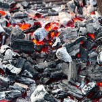 Polski węgiel. Złoża węgla w Polsce, wydobycie i ilość