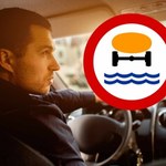 Polski znak, który wprawia kierowców w zakłopotanie. 250 zł mandatu