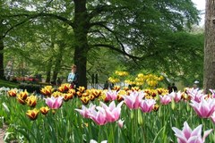 Polskie akcenty zagoszczą w najpiękniejszym ogrodzie świata