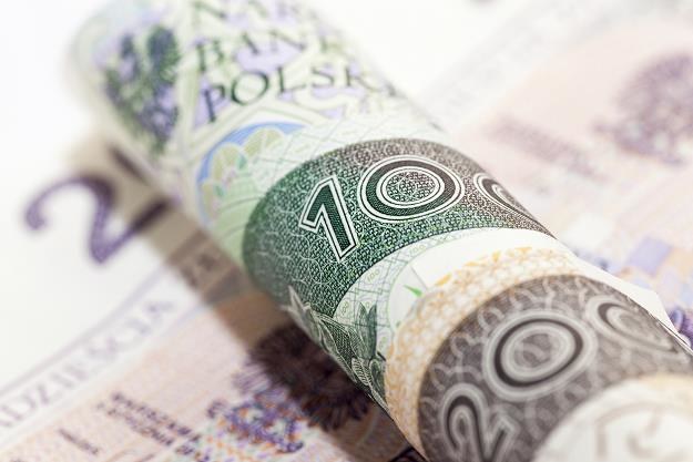 Polskie banknoty żyją 368 dni /&copy;123RF/PICSEL