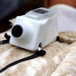 Polskie bociany noszą z tyłu specjalne plecaki. O co chodzi?