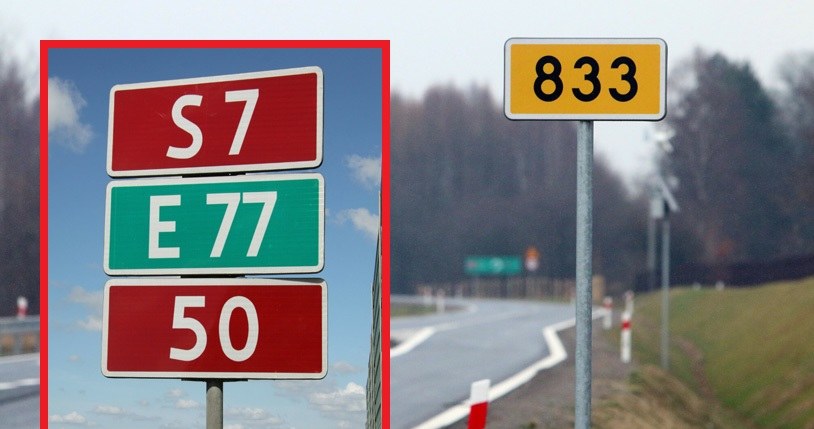 Polskie drogi mają różne oznaczenia kolorystyczne - co oznaczają? / FOT. LUKASZ KACZANOWSKI/POLSKA PRESS/Polska Press/East News/LUKASZ JOZWIAK/REPORTER /