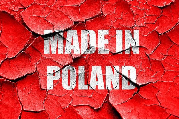 Polskie firmy podbijają Niemcy /&copy;123RF/PICSEL