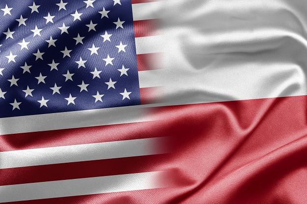 Polskie firmy wchodzą szerzej na amerykański rynek /&copy;123RF/PICSEL