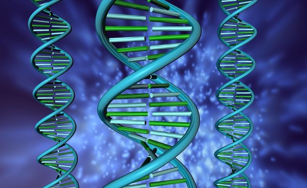 Polskie geny w chińskich rękach