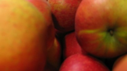 Polskie jabłka będą eksportowane do Chin? "Są nowe nisze, nowe kierunki"