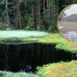 Polskie jezioro nagle zaczęło wyglądać jak hummus. "To nie fotomontaż"