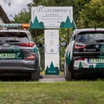 Polskie lasy będą ładowały samochody elektryczne. Co z programem Las Energii?