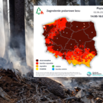 Polskie lasy zagrożone. Sytuacja "ekstremalna"