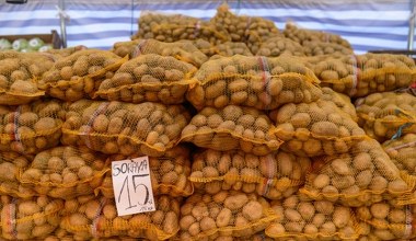 Polskie magazyny są ich pełne. A mimo to import z Niemiec kwitnie