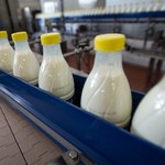 Polskie mleko płynie na Białoruś