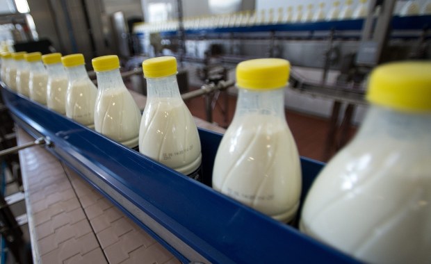 Polskie mleko płynie na Białoruś