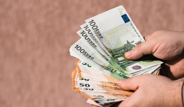 Polskie ptaki mogą trafić na nowe banknoty euro. Wiemy, o które chodzi