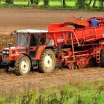 Polskie rolnictwo ekologiczne zagrożone
