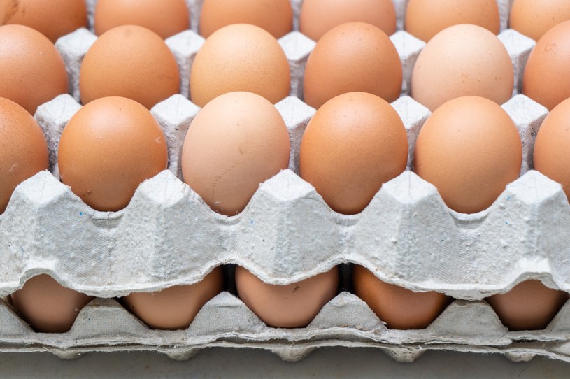 Polskie sklepy mogą mieć kłopoty z pozyskaniem jaj czy mięsa drobiowego? /123RF/PICSEL