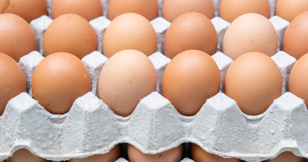 Polskie sklepy mogą mieć kłopoty z pozyskaniem jaj czy mięsa drobiowego? /123RF/PICSEL
