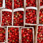 Polskie truskawki już na majówkę? Plantatorzy ujawniają datę i ceny