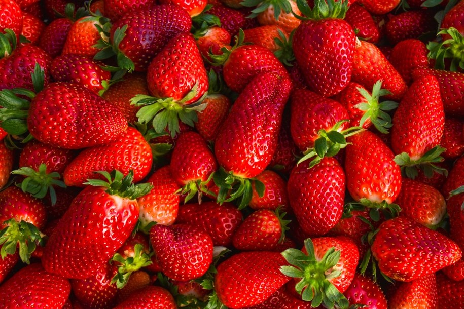 Polskie truskawki wyróżniają się nieregularnym kształtem, delikatną skórką i często jaśniejszym zabarwieniem /Shutterstock