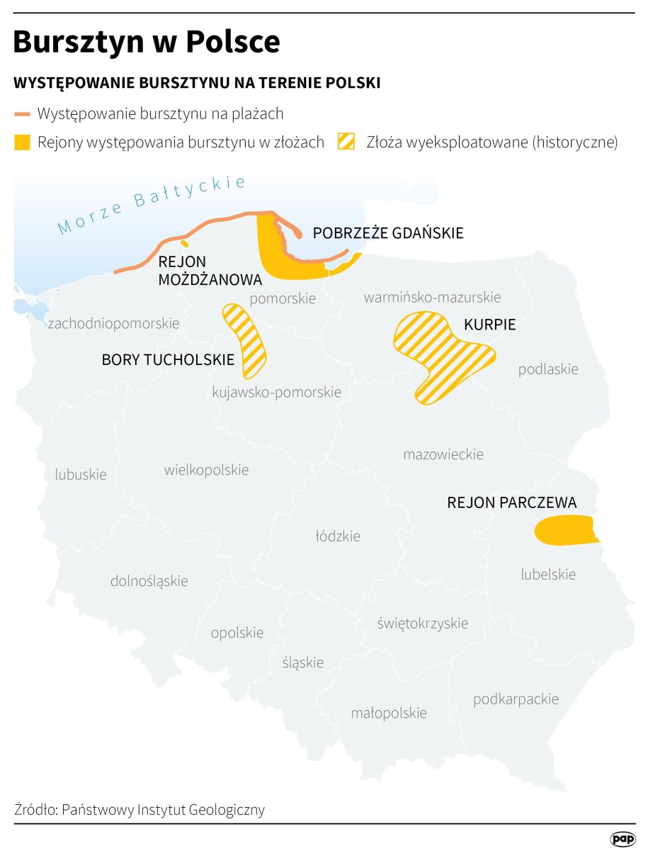Polskie złoża bursztynu /Maciej Zieliński /PAP