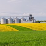 Polskiej branży grozi kryzys. "Trzeba odblokować import z Ukrainy"