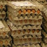 Polskim producentom bardziej opłaca się importować jajka niż hodować kury? /INTERIA.PL