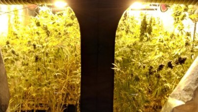 Polsko-hiszpański cios w przestępczość narkotykową