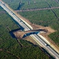 Polsko-niemiecką granicę w Świecku połączy wkrótce nowa autostrada
