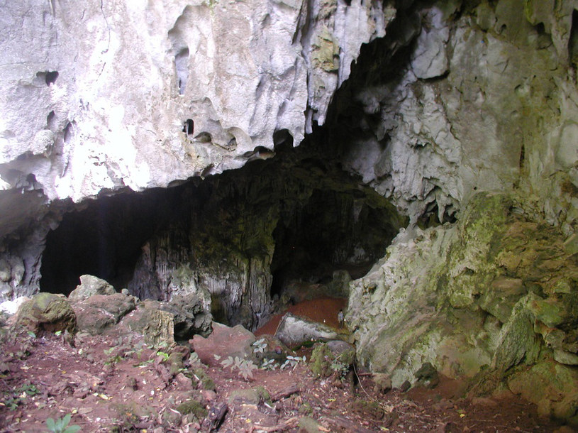 Południowe wejście do jaskini Tam Pà Ling /WikimediaCommons /domena publiczna