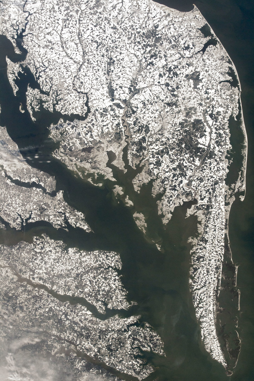 Półwysep Delmarva pod śniegiem /NASA Earth Observatory /NASA