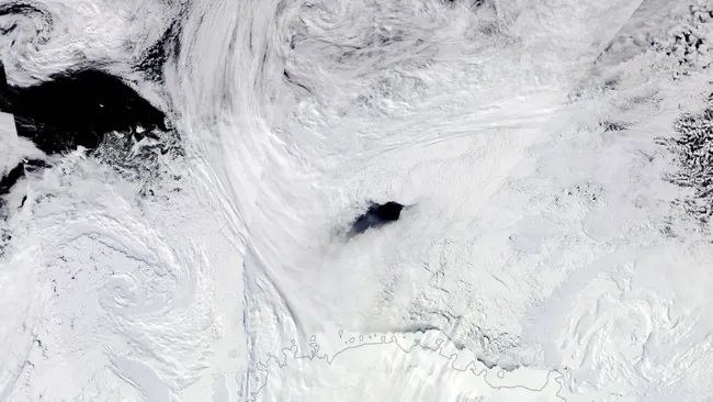 Połynia Maud Rise na Antarktydzie widoczna w latach 2016-2017. /NASA Earth Observatory /materiał zewnętrzny