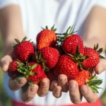 Pomaga eliminować "komórki zombie", wspiera mózg. Znajdziesz w truskawkach
