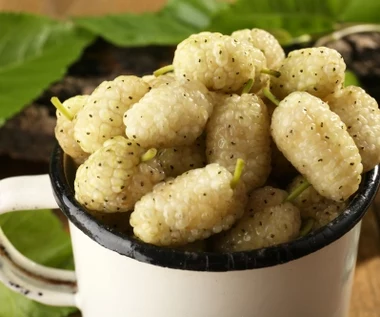 Pomaga schudnąć, reguluje cukier i metabolizm. Jedna z najnowszych roślin świata 