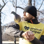 Pomagajmy zwierzakom mądrze. Animal Helper rozda w Gdańsku karmę dla ptaków