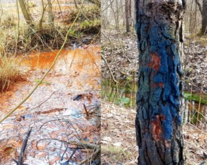 Pomarańczowa rzeka i niebieskie drzewa w Jaworznie. Zagrożenie dla Bałtyku