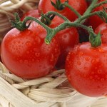 Pomidory dla cery trądzikowej