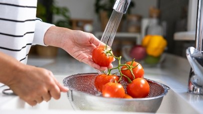 Pomidory dojrzewają „na skróty”? Znamy wyniki testu