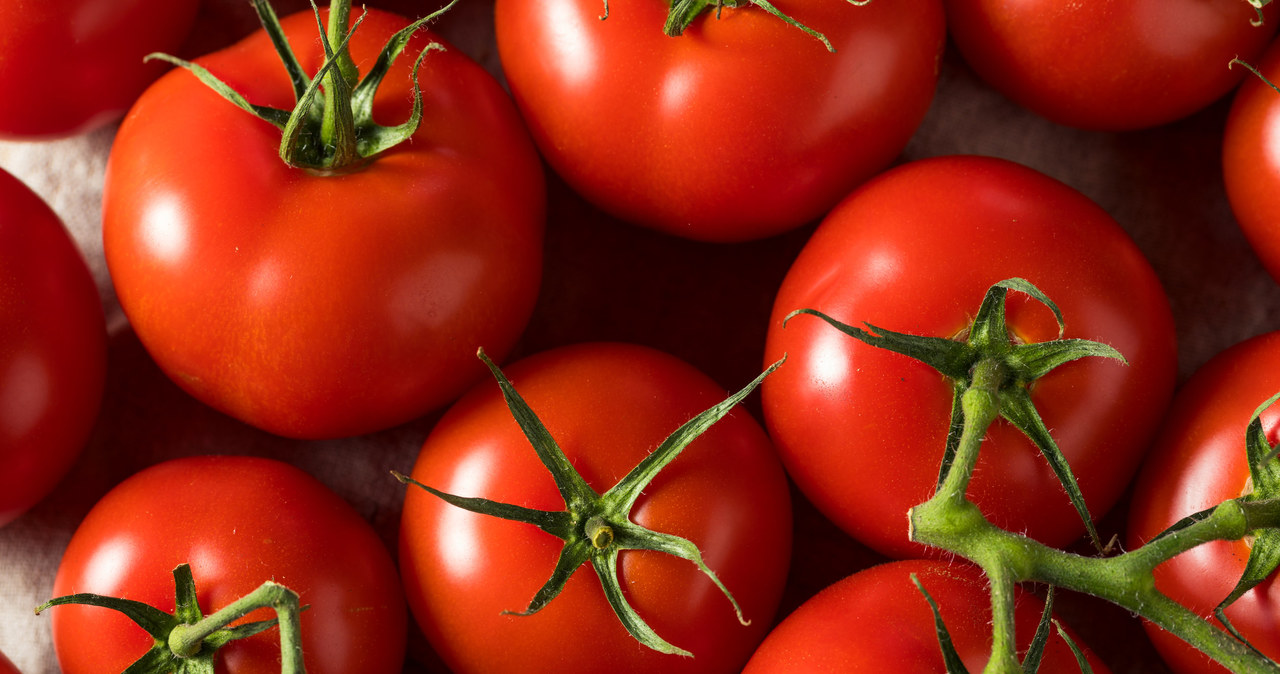 Pomidory GMO z dużą dawką witaminy D /123RF/PICSEL