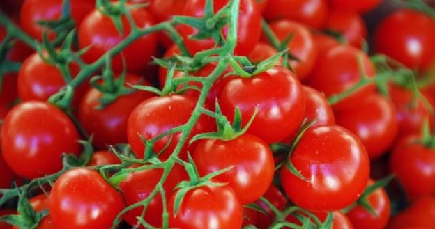 Pomidory powinny być ważnym składnikiem zdrowej diety /123RF/PICSEL