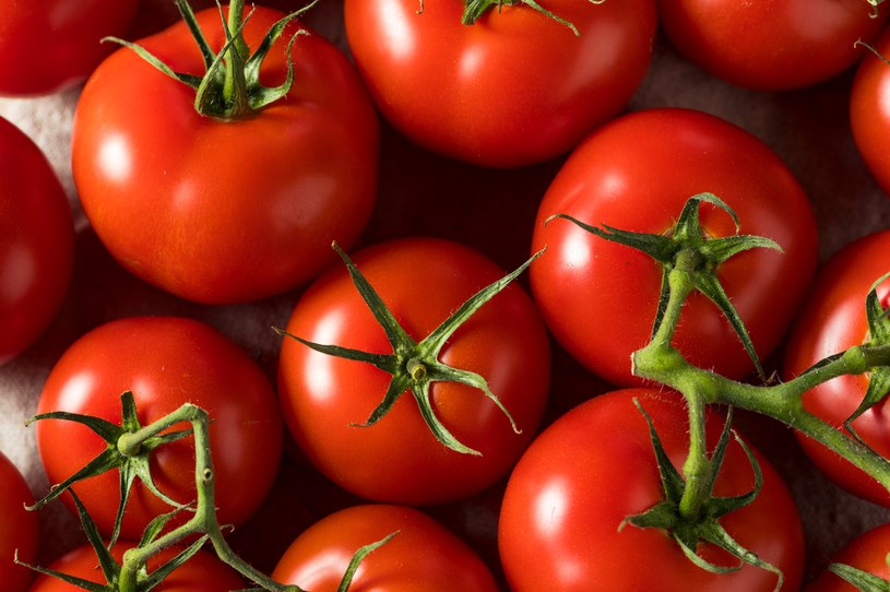 Pomidory w lodówce przestają dojrzewać, tracąc swój smak /123RF/PICSEL