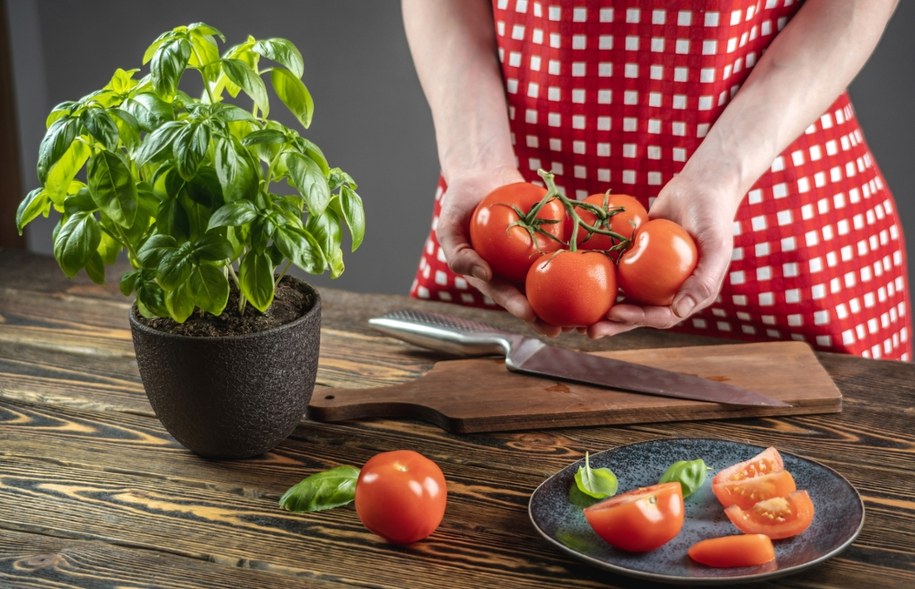 Pomidory – zdrowie w czerwonej skórce /Shutterstock