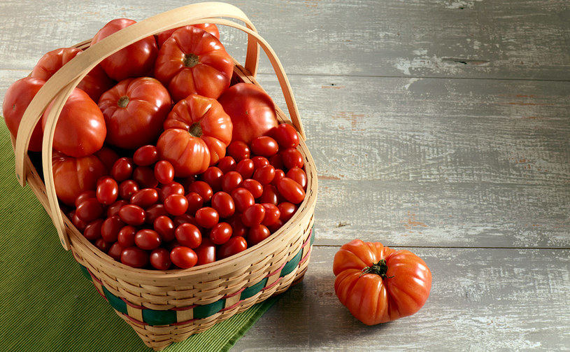 pomidory /© Photogenica
