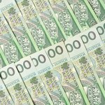 Pomimo rosnących oczekiwań na obniżki stóp złoty trzyma się mocno